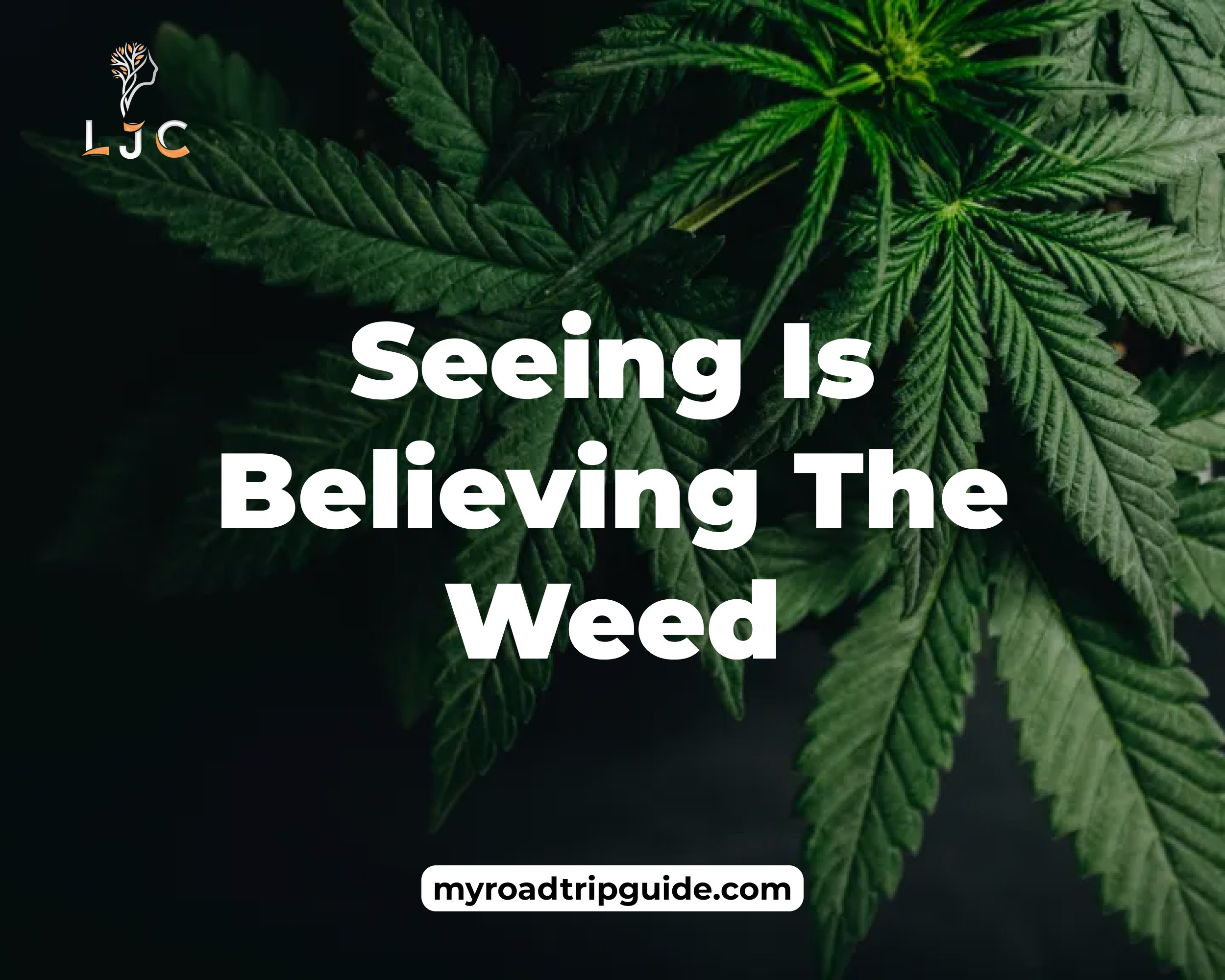 Seeing Is Believing: The Weed