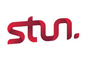 logo_silver_stun.jpg
