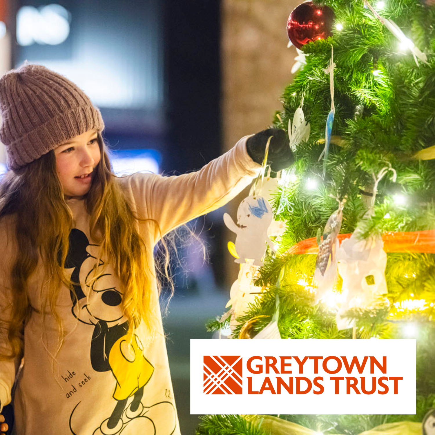 Greytown Lands Trust Big Switch Opening Night
