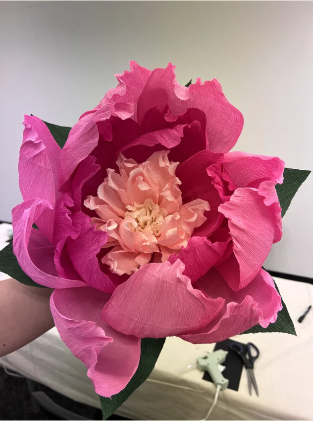 Giant Crepe Wallflower
