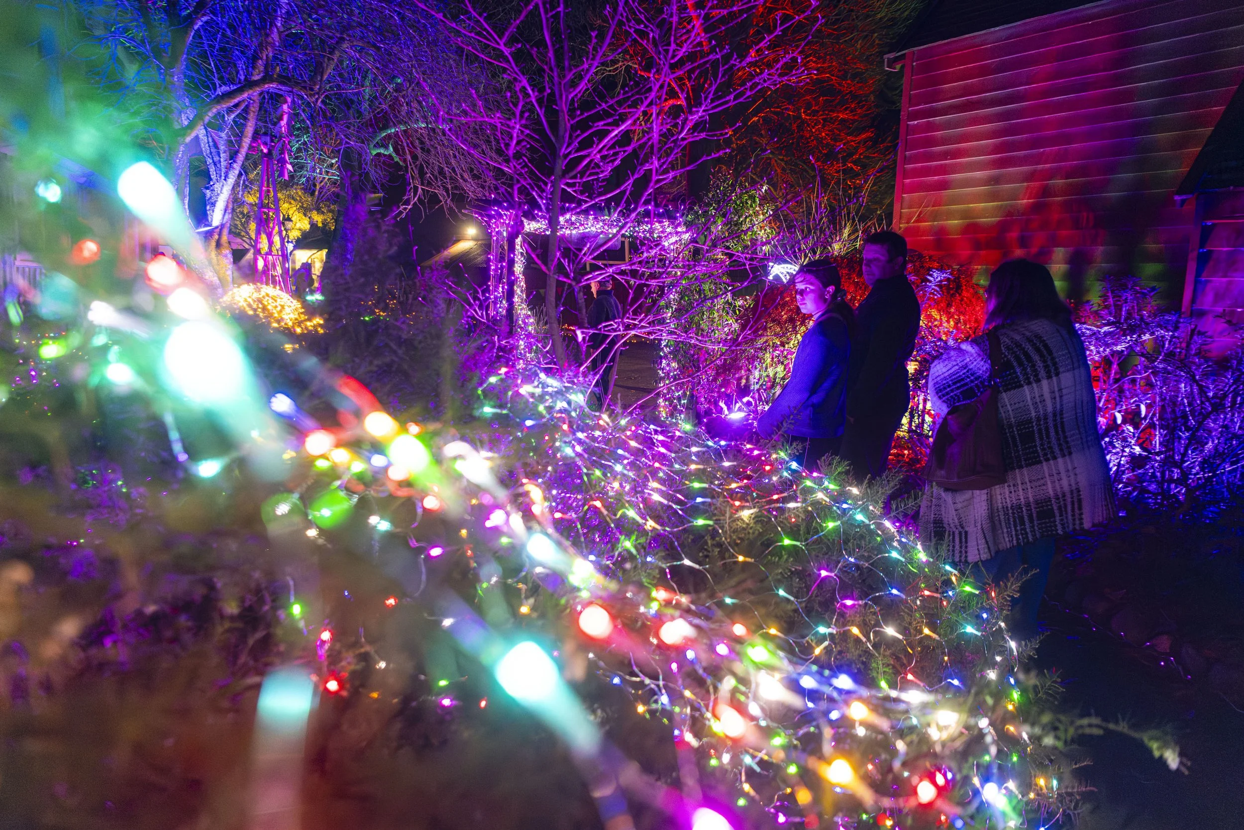 ILLUMINATION Night Walk at Cobblestones