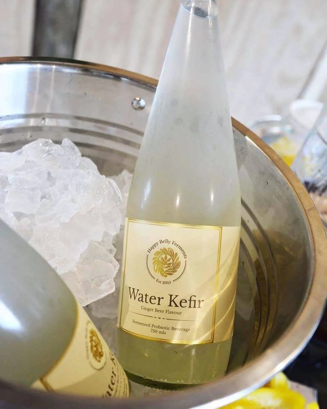 waterkefir on ice.jpg