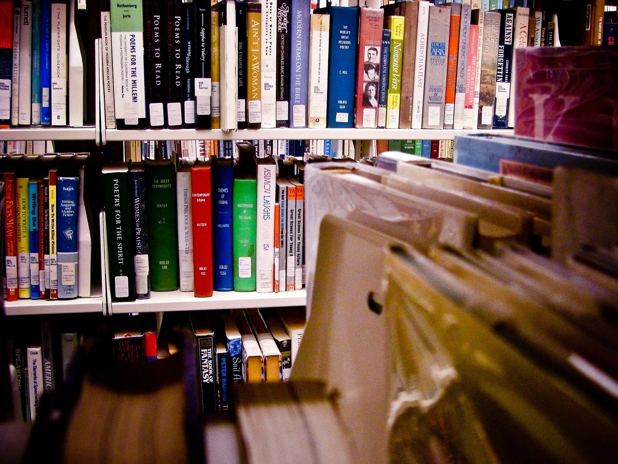 Are Florida’s Book Laws Unfair?