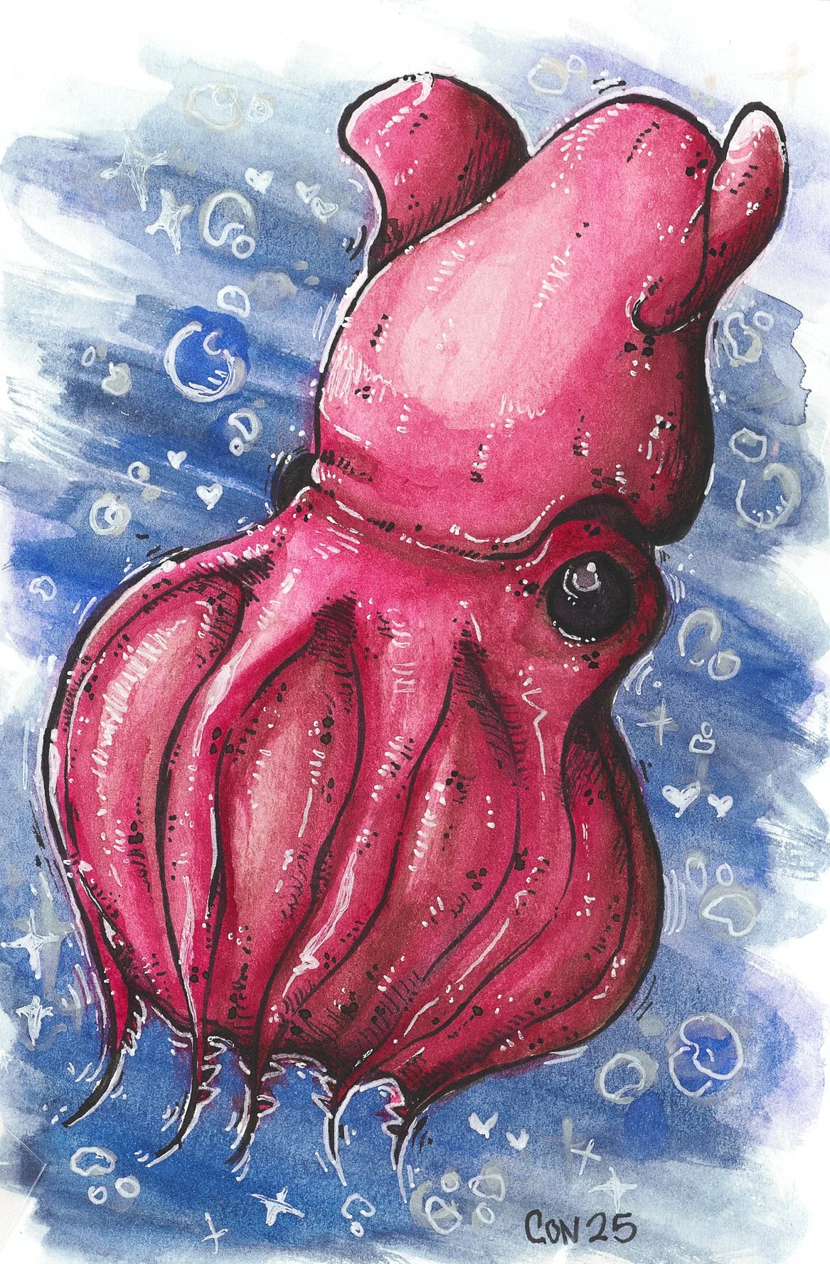 Vampire squid. Watercolour.