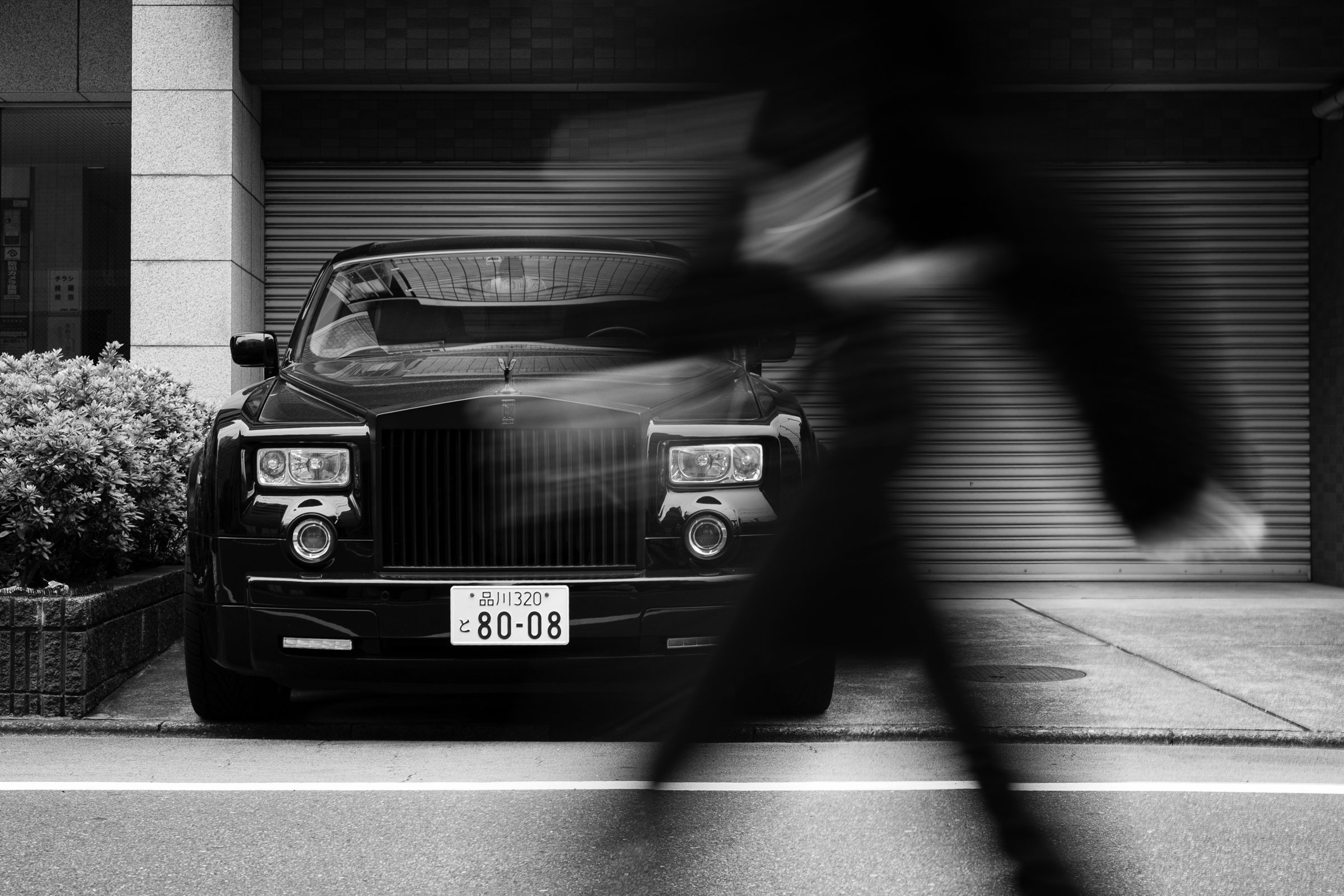 _JP97187.jpg
