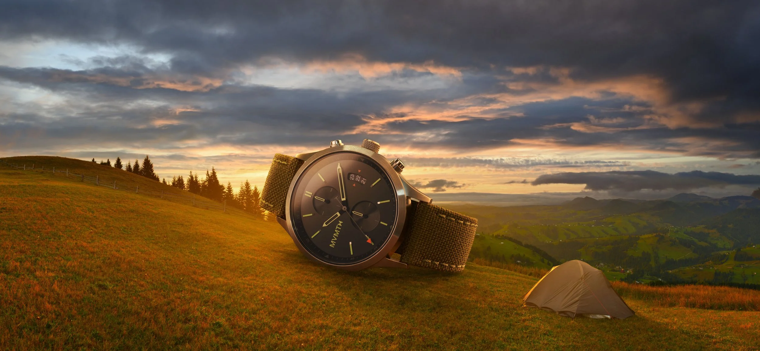 Forest - Aaron Howard.jpg