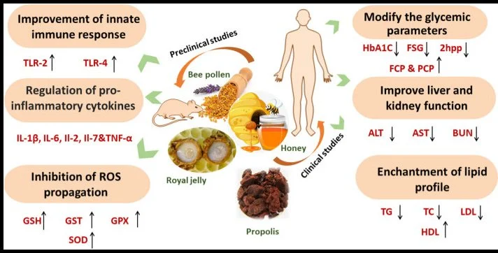 HEALING HONEY