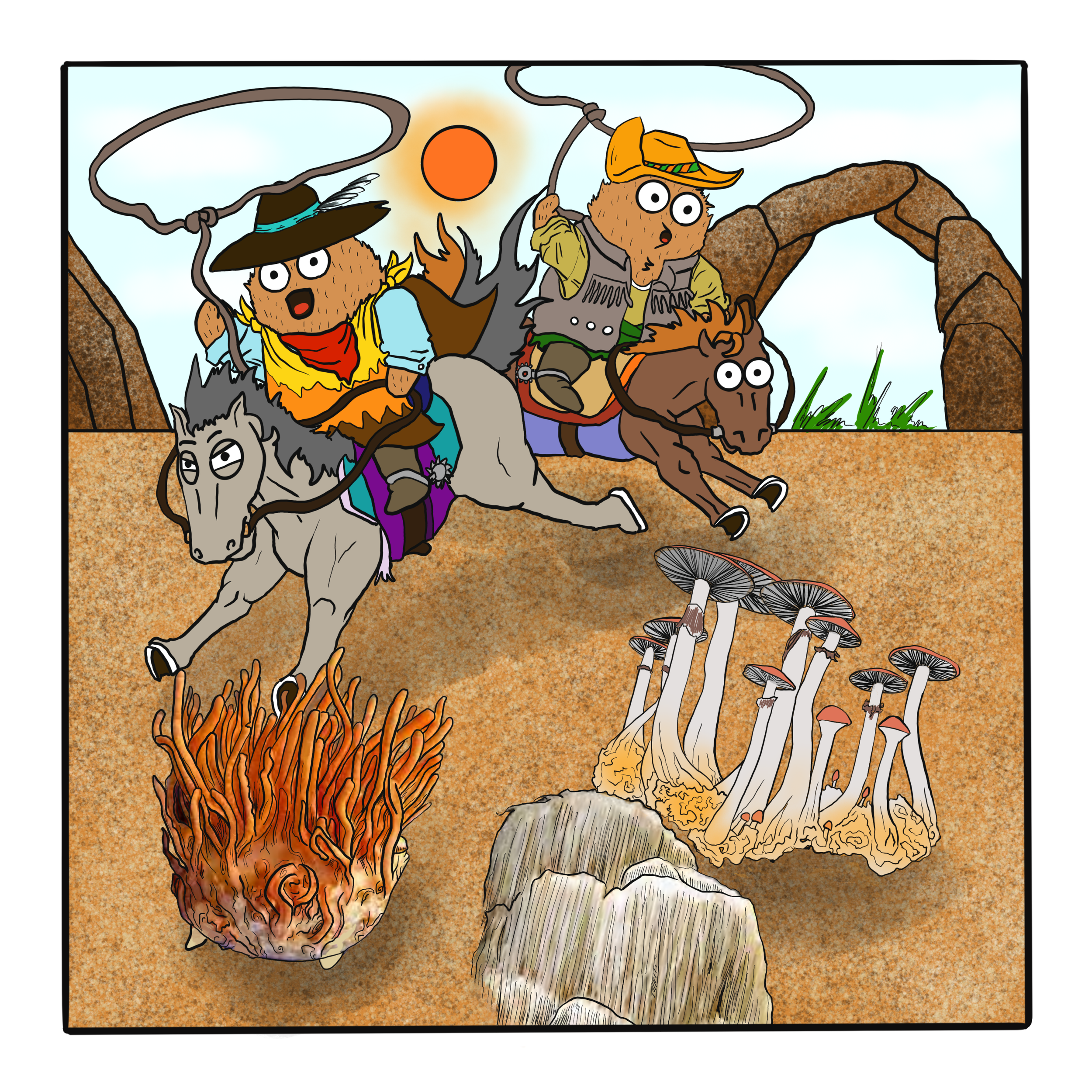 Mushroom Round up - Cordyceps, Psilocybin, and Lion’s Mane. Riding down the Three Musketeers of the Mushroom Kingdom. 