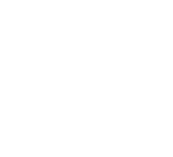 jodi-ann burey