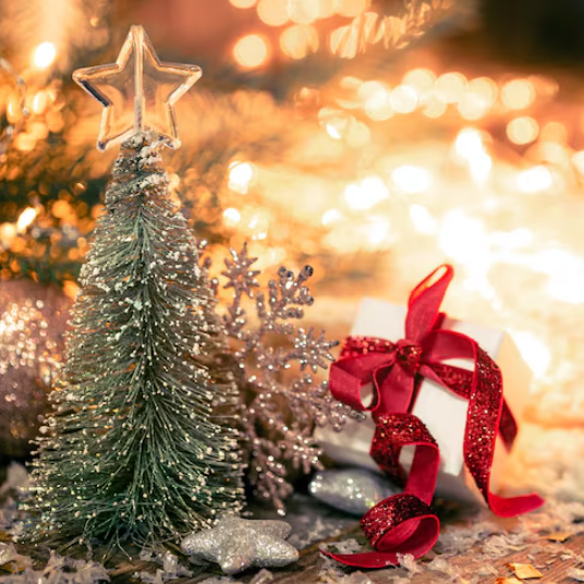 2026 Christmas Day Marathon Meeting