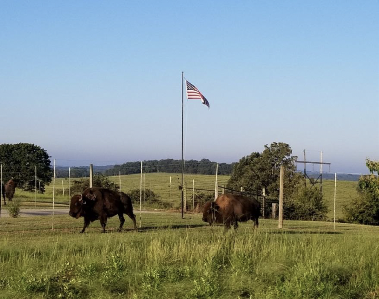 Oklahoma Trophy Ranch