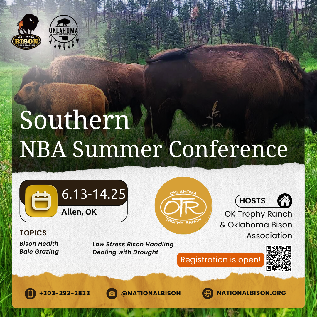 NBA Southern Regional Conference