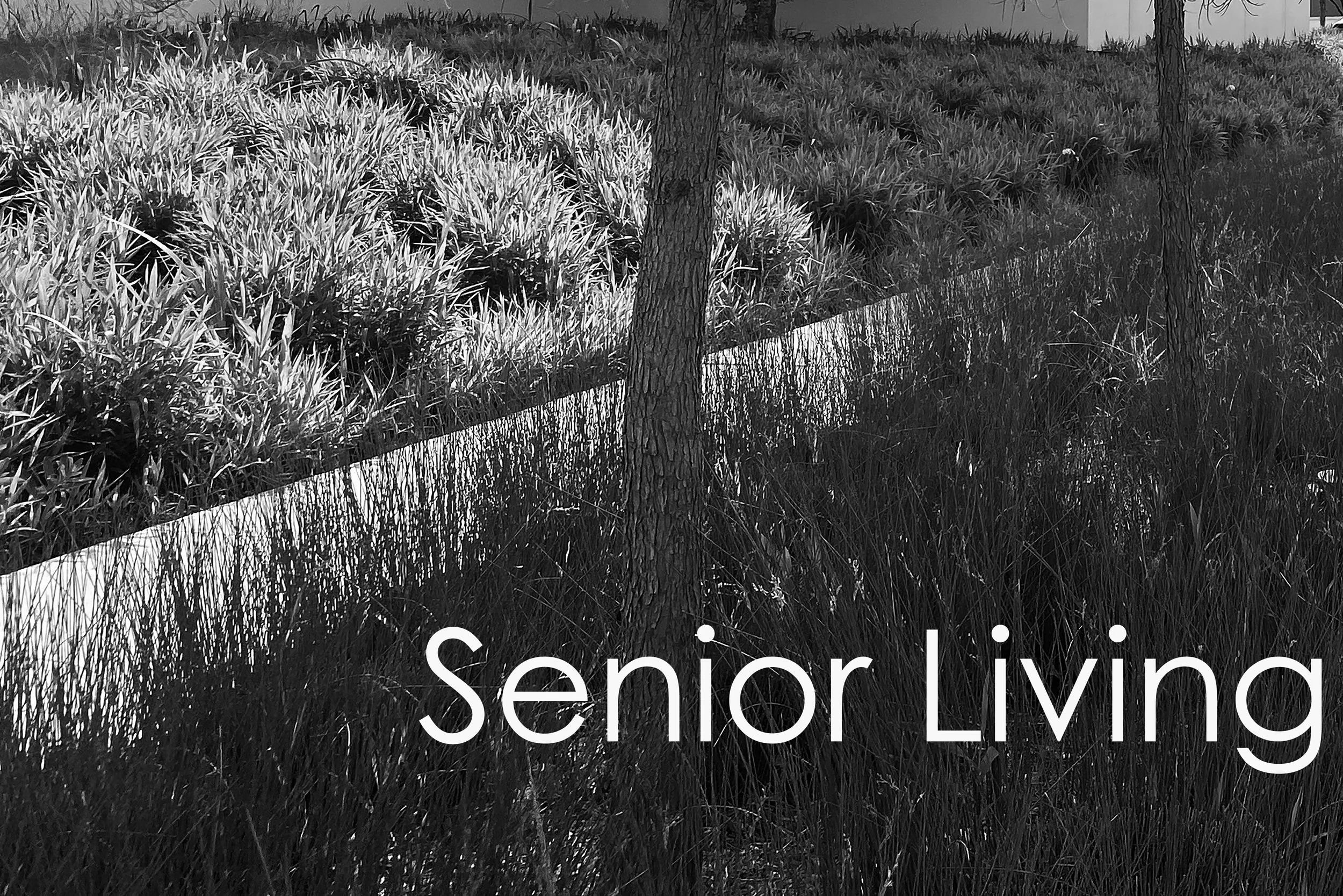 Senior Living.jpg