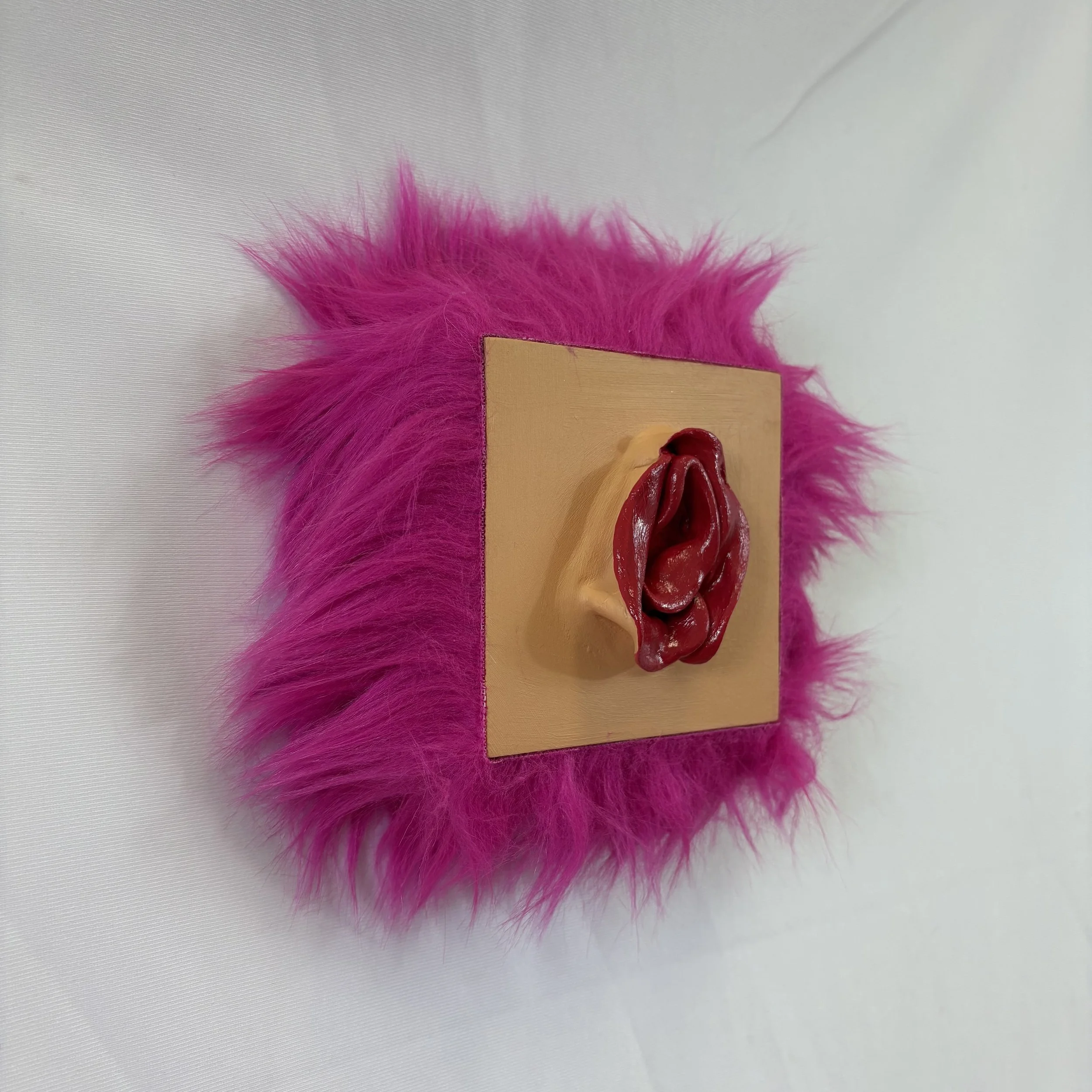 "Dj Suki" Vulva Board ~ Trolls