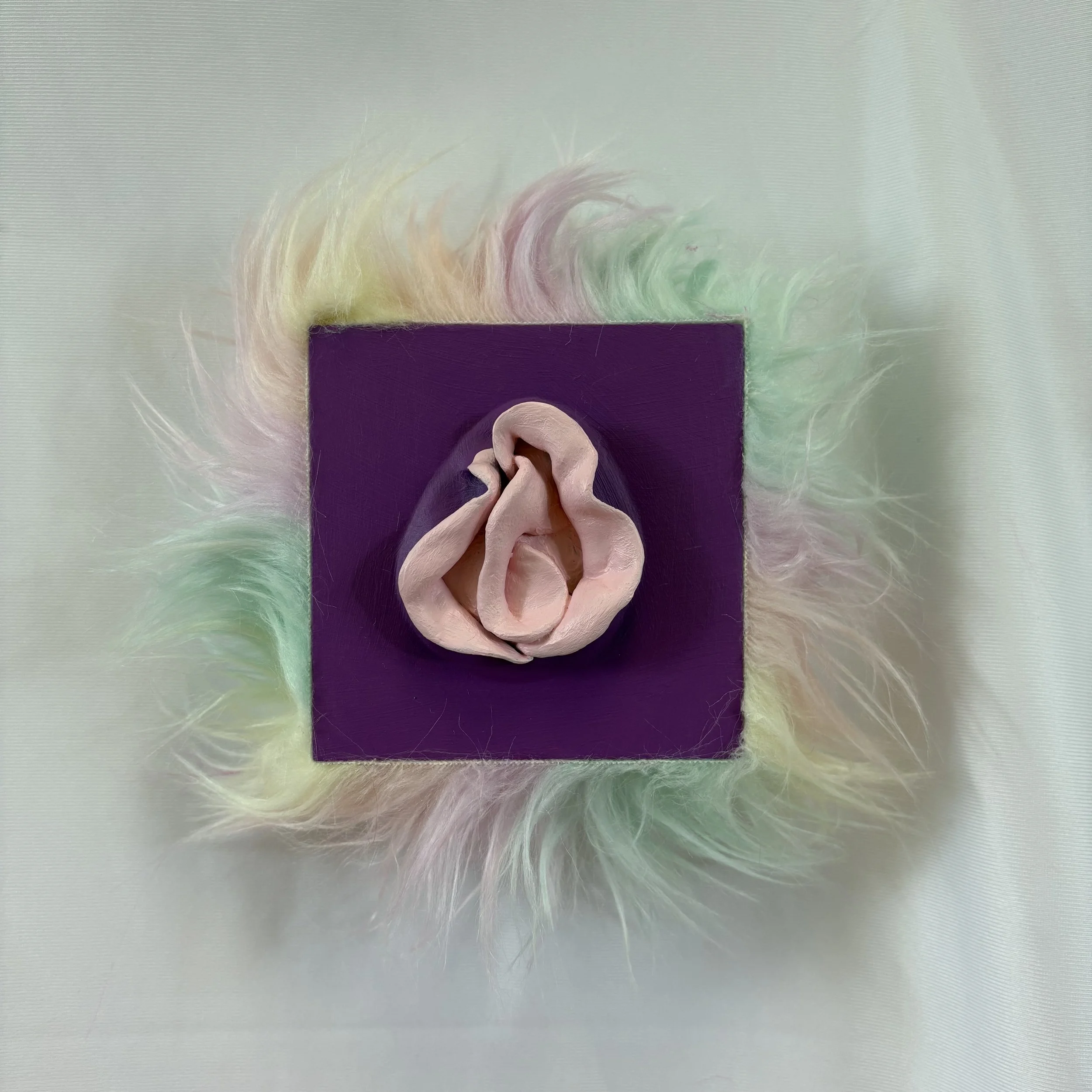  "Bridget" Vulva Boards ~ Troll