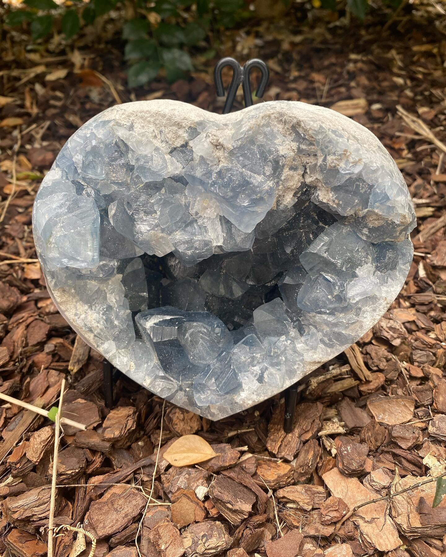 Did you know on my website on the explore button, there is a comprehensive A-Z of lots of different crystals, meanings and properties etc. 

Click on the &lsquo;EXPLORE&rsquo; button 
Www.lunasalt.com.au

#celestite #blue #crystals #knowlegde