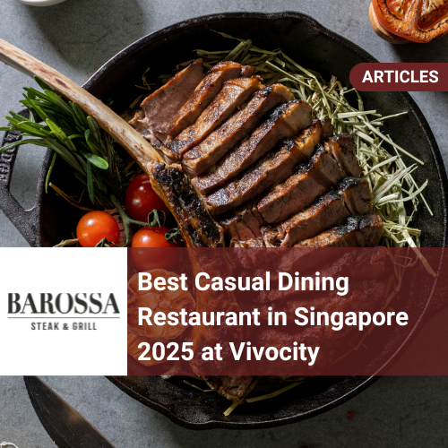 Best Casual Dining Restaurant Vivocity 