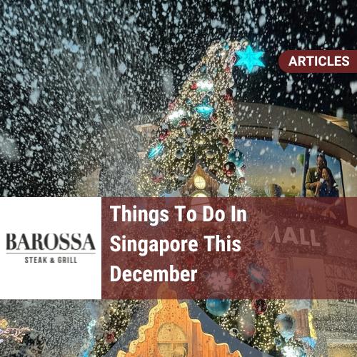 Things To Do In Singapore This December