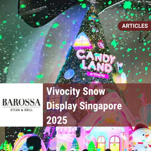 Vivocity Snow Display Singapore 2025