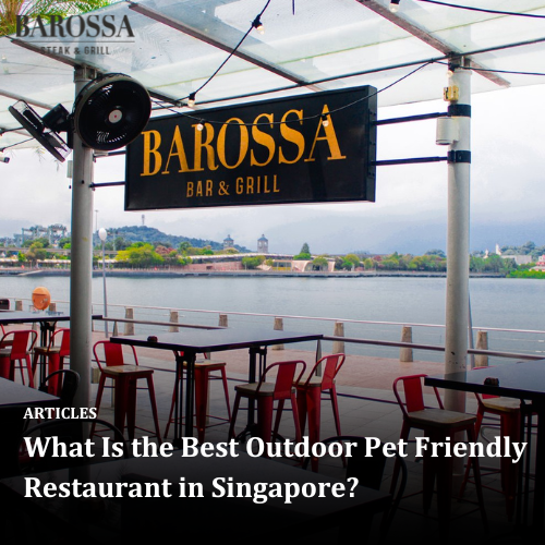 What’s the Best Outdoor Pet Friendly Restaurant in Singapore?