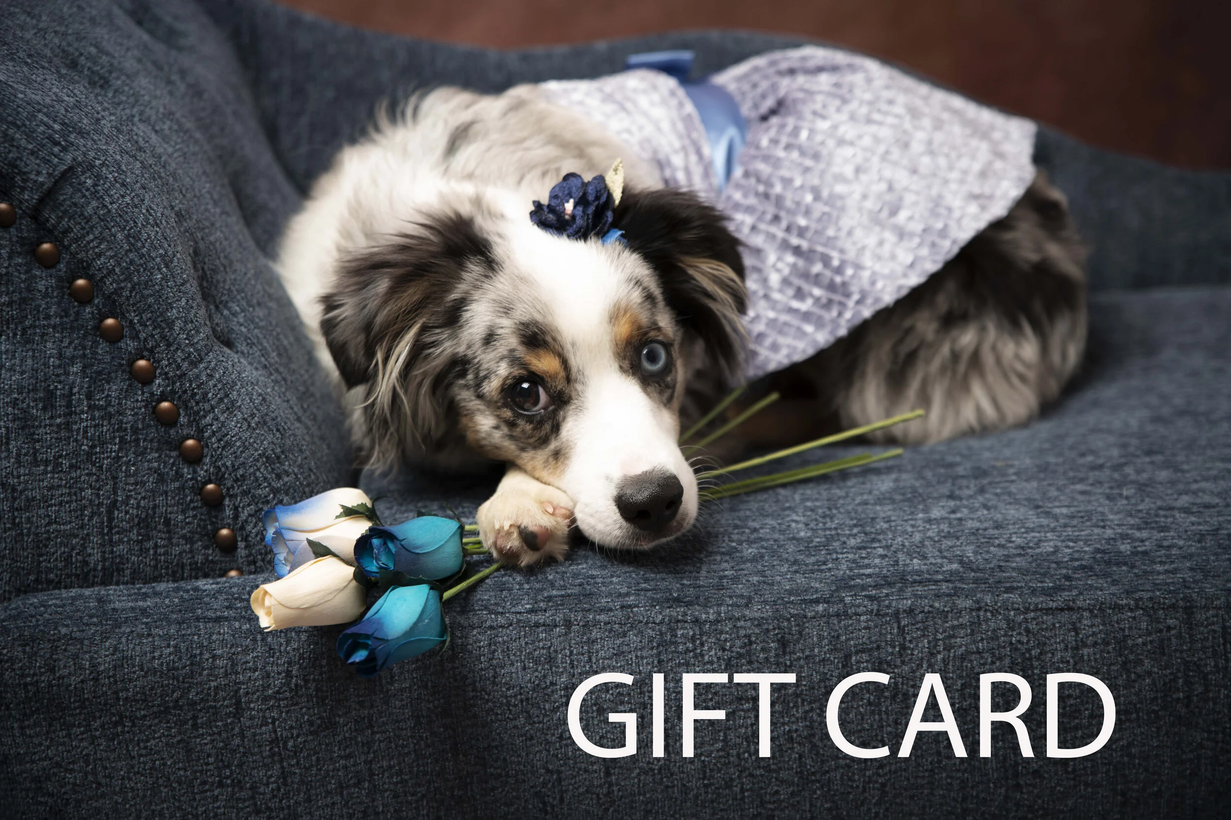 Gift Card.jpg