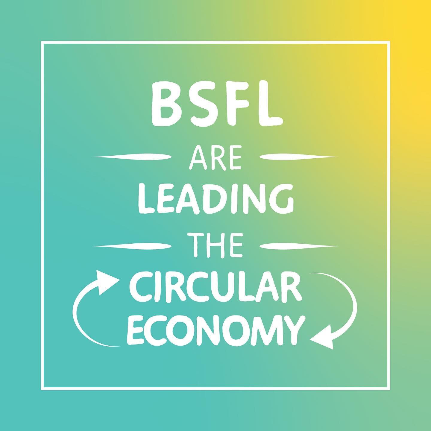 Not all hero&rsquo;s wear capes, but some have wings 🪰 

Feeding off rescued food to create a nutrient rich protein. Black Soldier Fly Larvae are championing the circular economy. Leaving nothing to go to waste! 

Have you tried insect protein yet? 