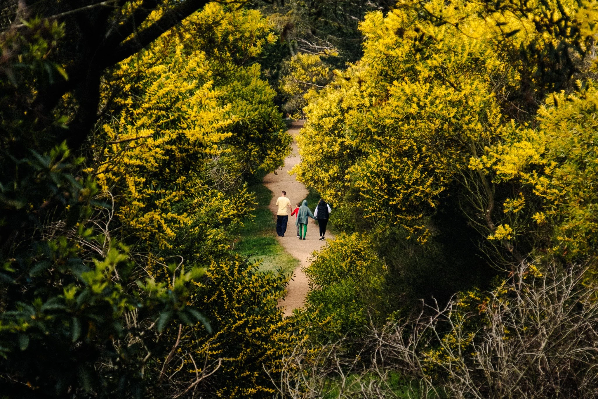 Red Hill, Australia | 2025