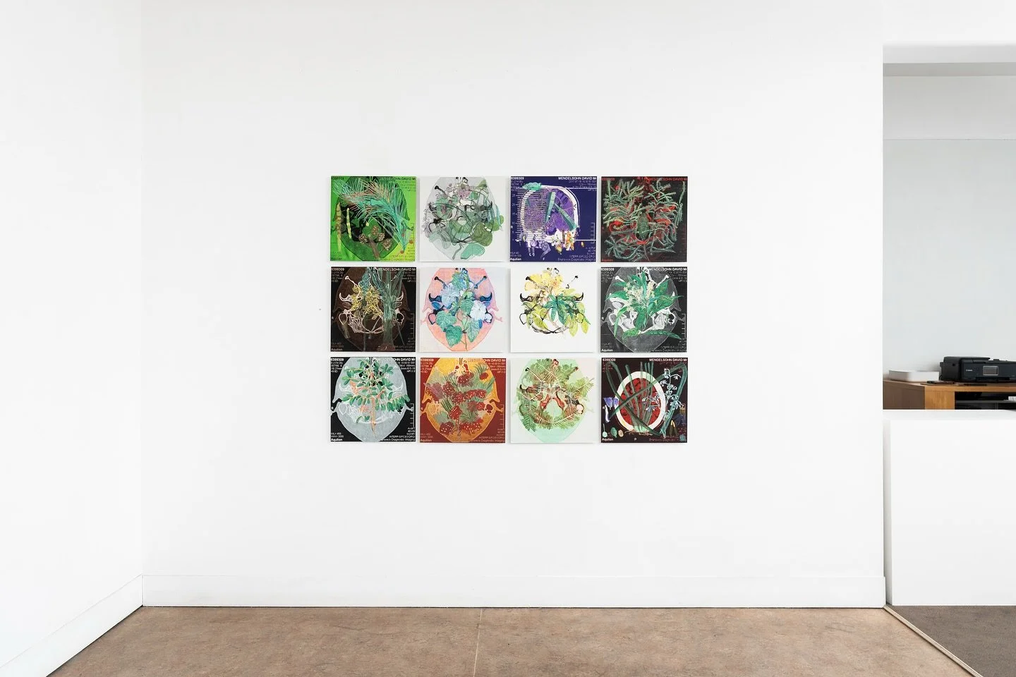 It was a pleasure to capture David Mendelson&rsquo;s recent exhibition at @stephen_mclaughlan_gallery. My personal favorite was this group of artworks titled &lsquo;A Permanent Rebirth&rsquo;. Congratulations on a great show @mendelsohn248 🙂📸