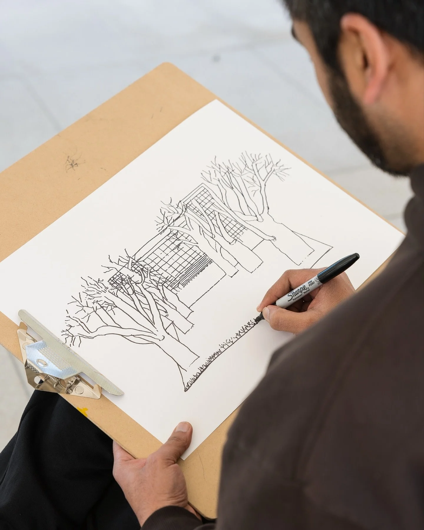 Observational Drawing with @angharad.nw at @mpavilionparkville ✍️🎨🌳🪾