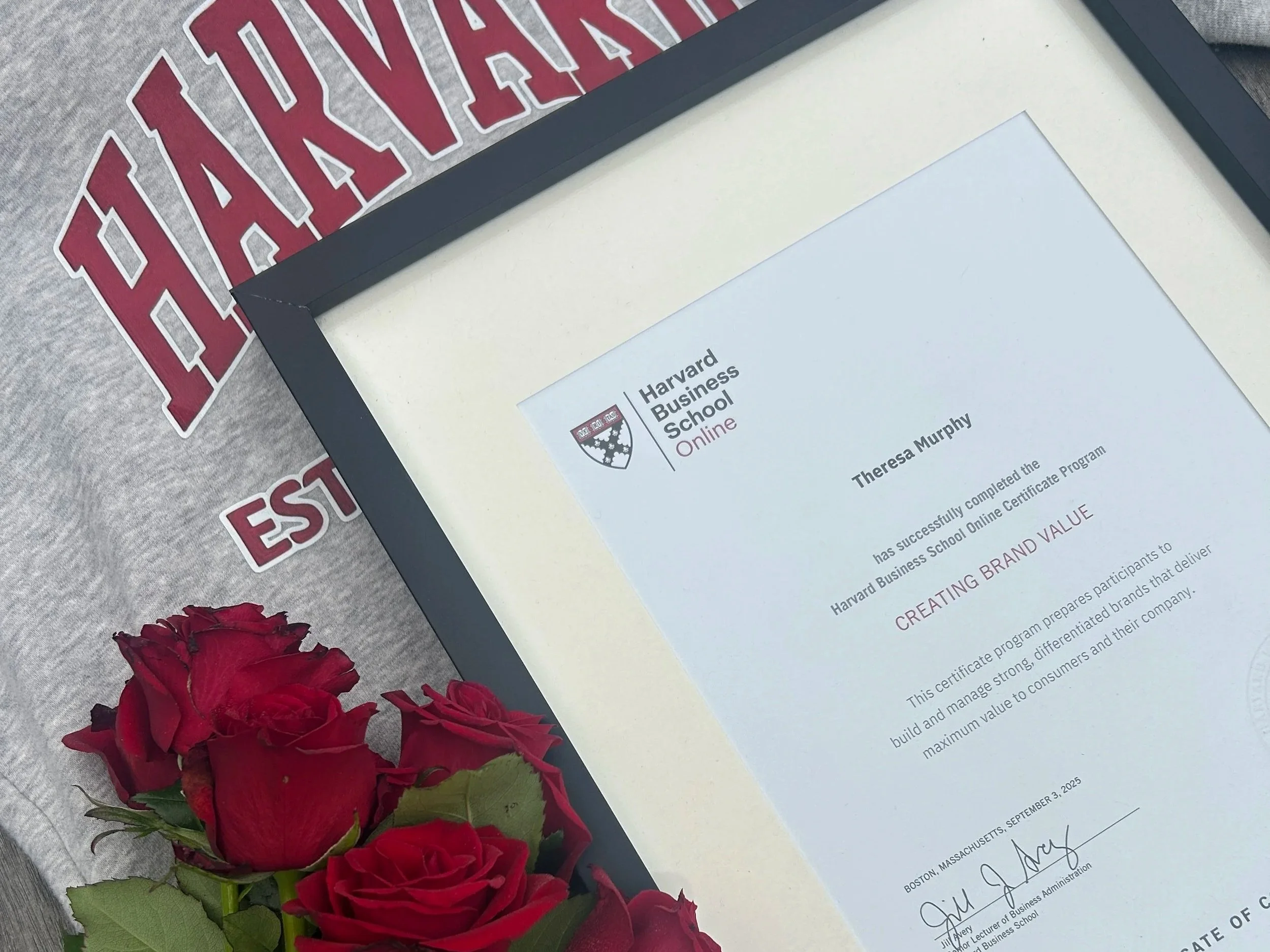 Studying at Harvard - our journey to join the Ivy League!