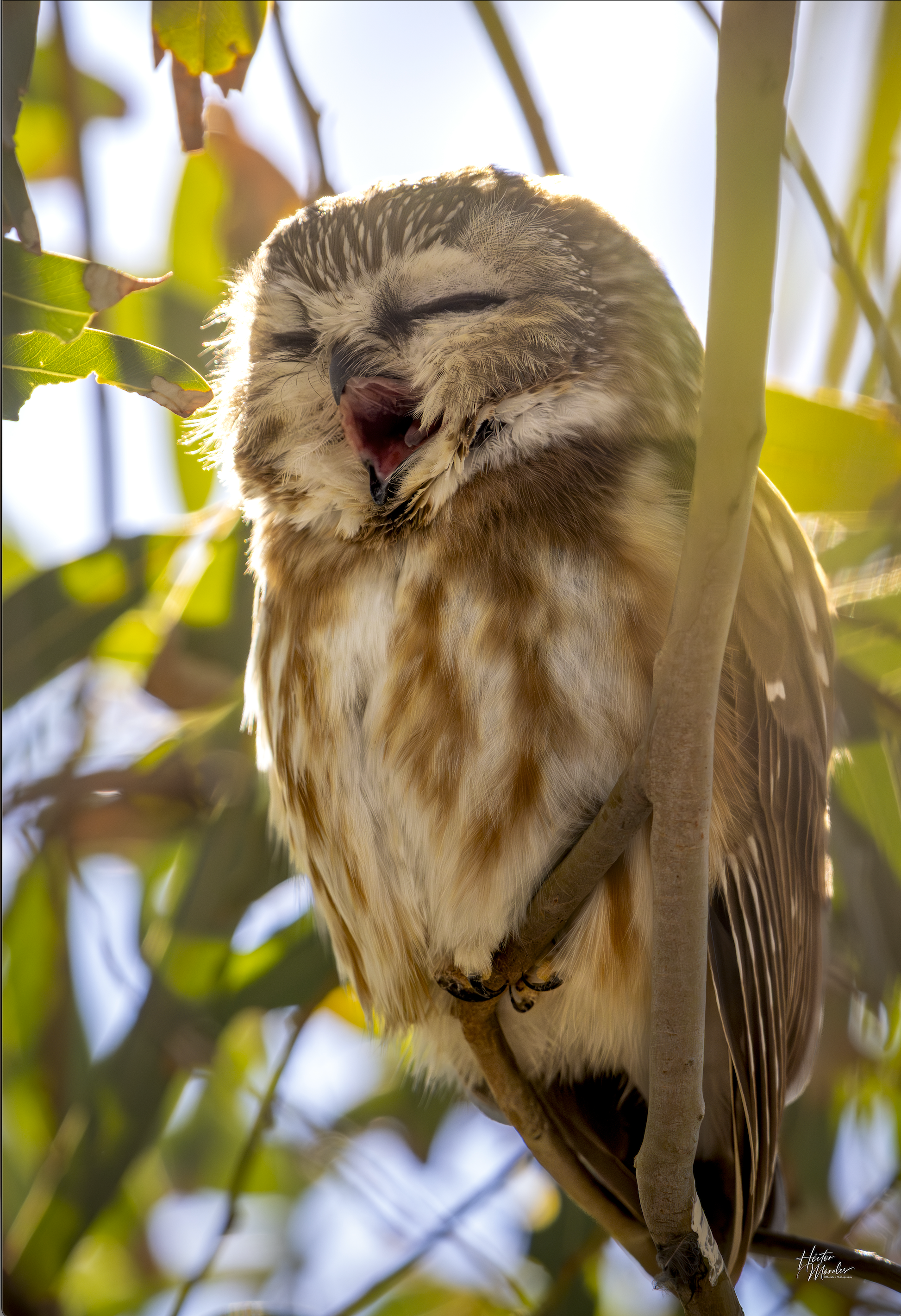 Screenshot 2026-01-12 at 9.12.47 PM.png