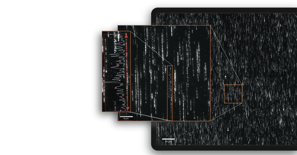 How DynaMAP Works — Perseus Biomics