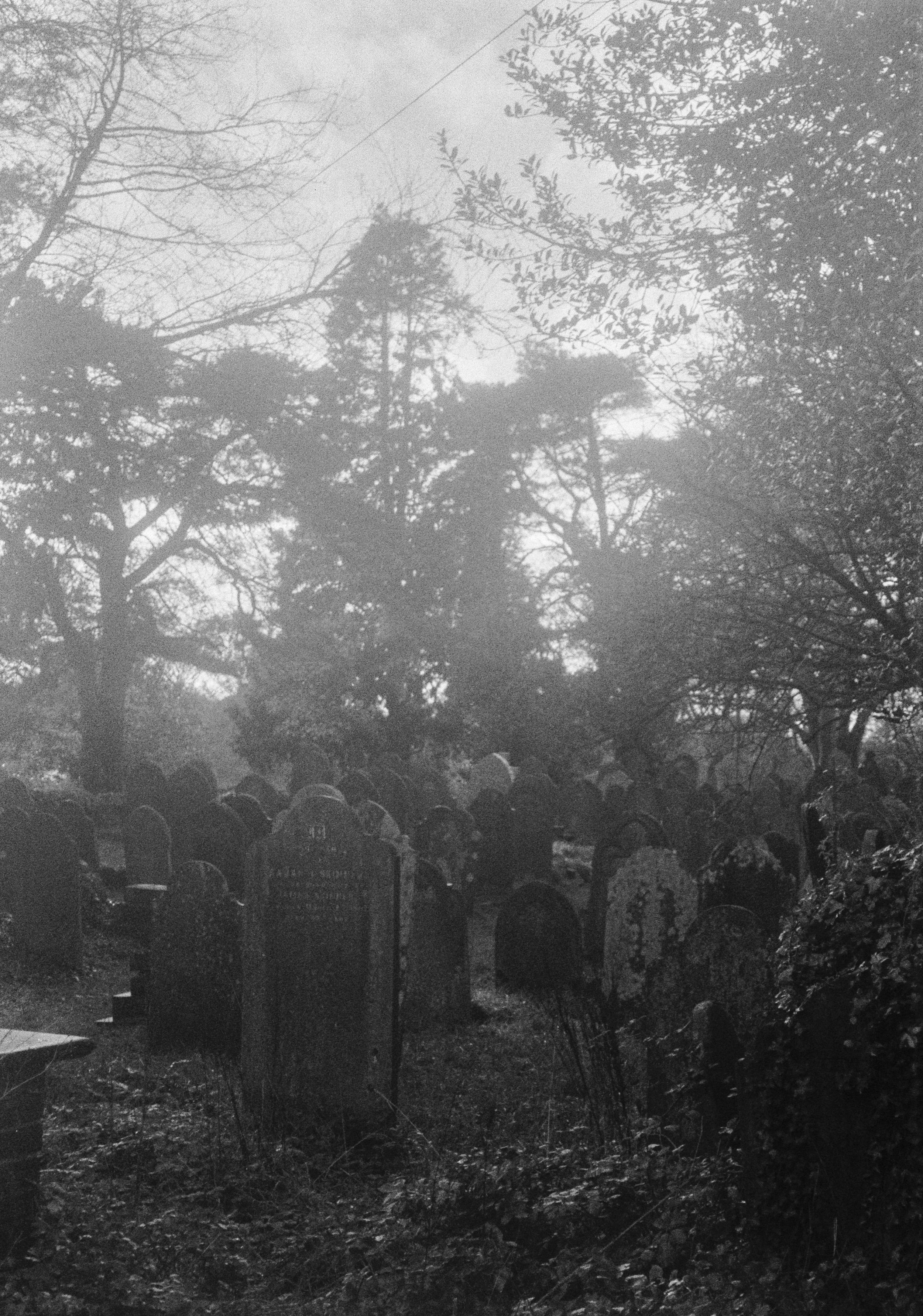 K400 D 3HP 300126 (9) Rollei Pregi 70.jpg