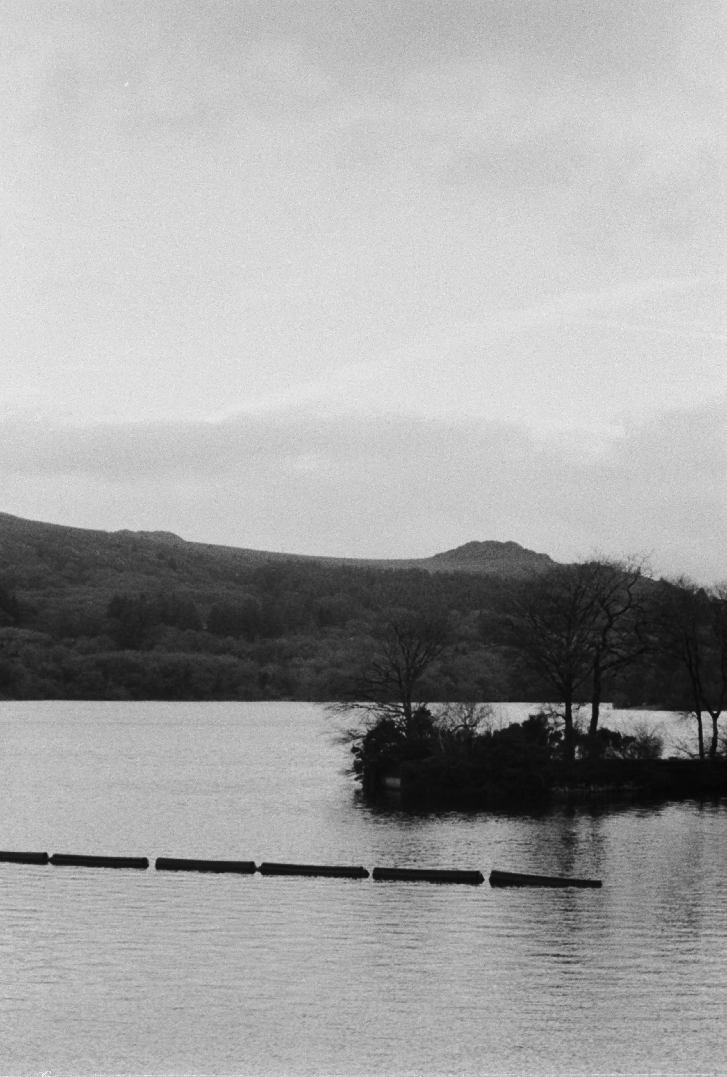 K400 BHP 221225 (3) Yashica Zoomtec 90 Super.jpg