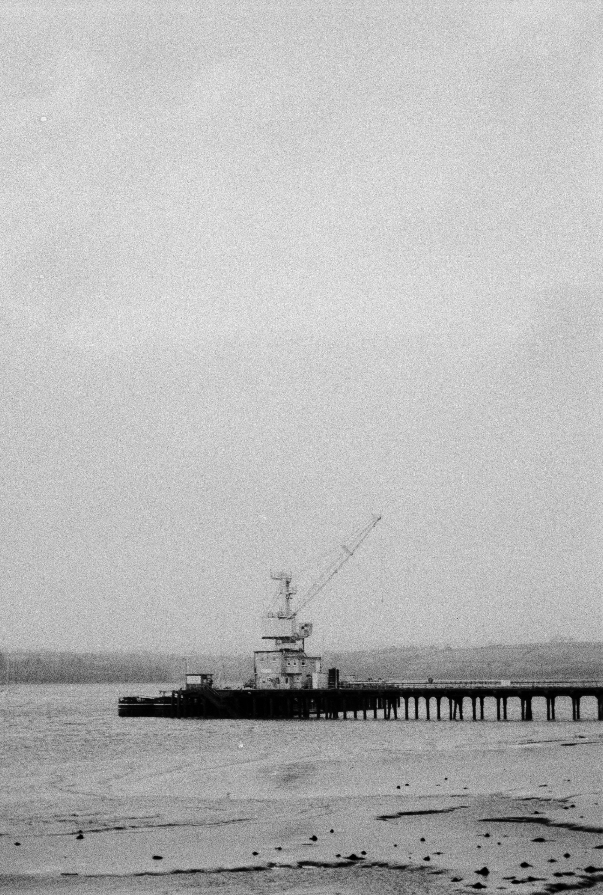 Kentmere 200 A 061225 (3) Minolta 150 Riva Zoom.jpg