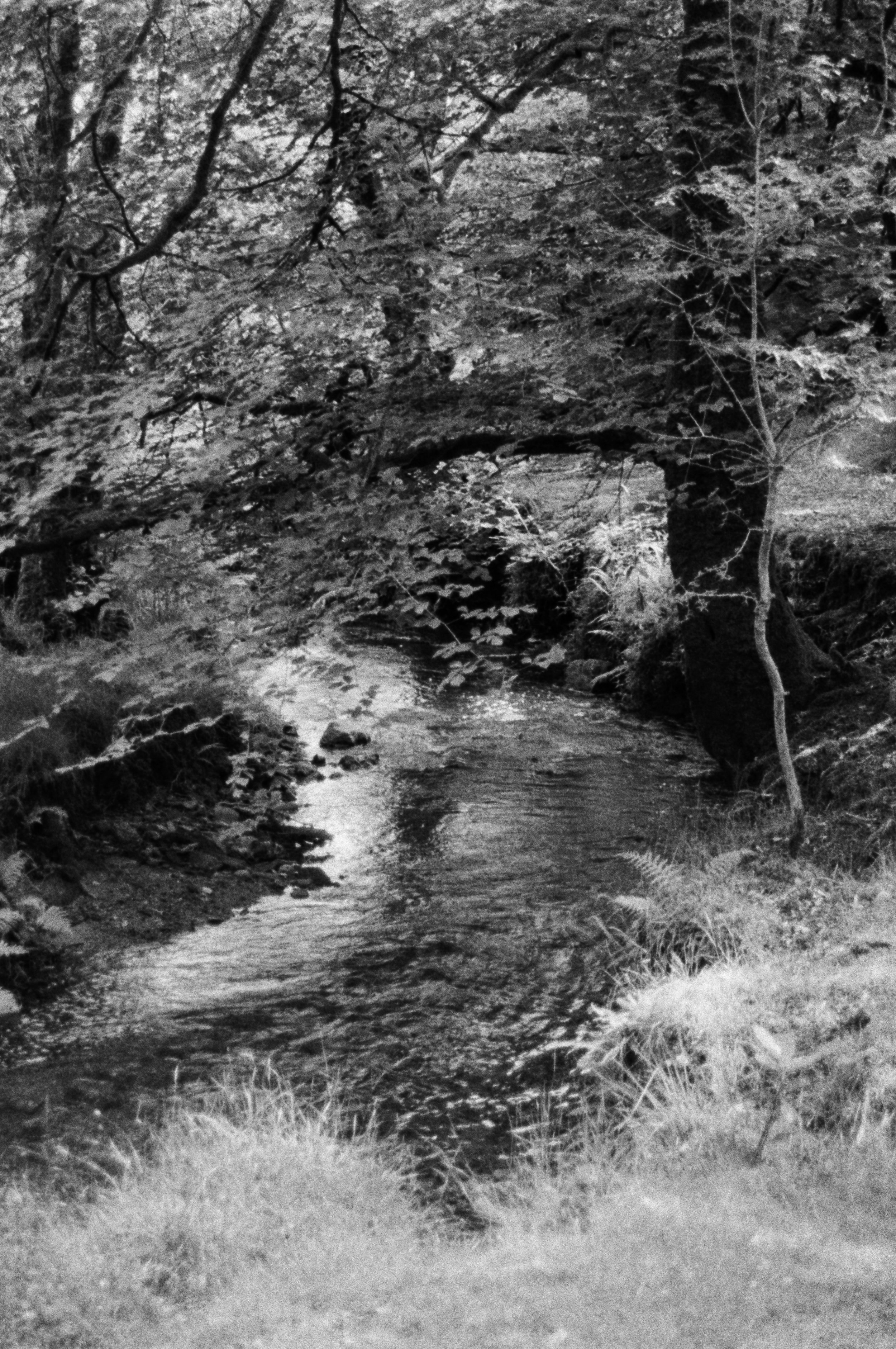 K400A 200626 (8) Min AF 35-80mm (528).jpg