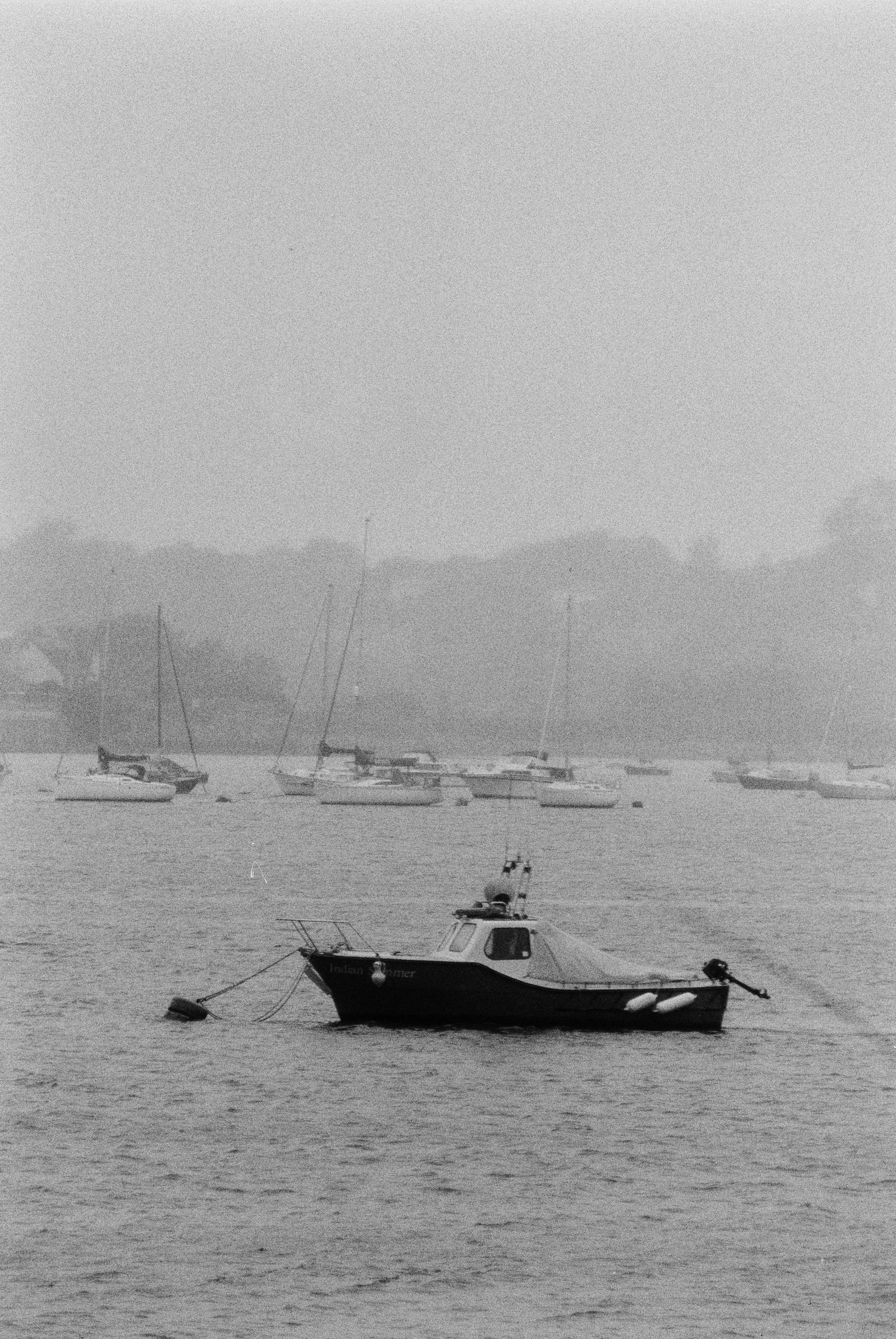 K200 A 280825 (15) Miranda MS-2 Super, Cosinon 200mm.jpg