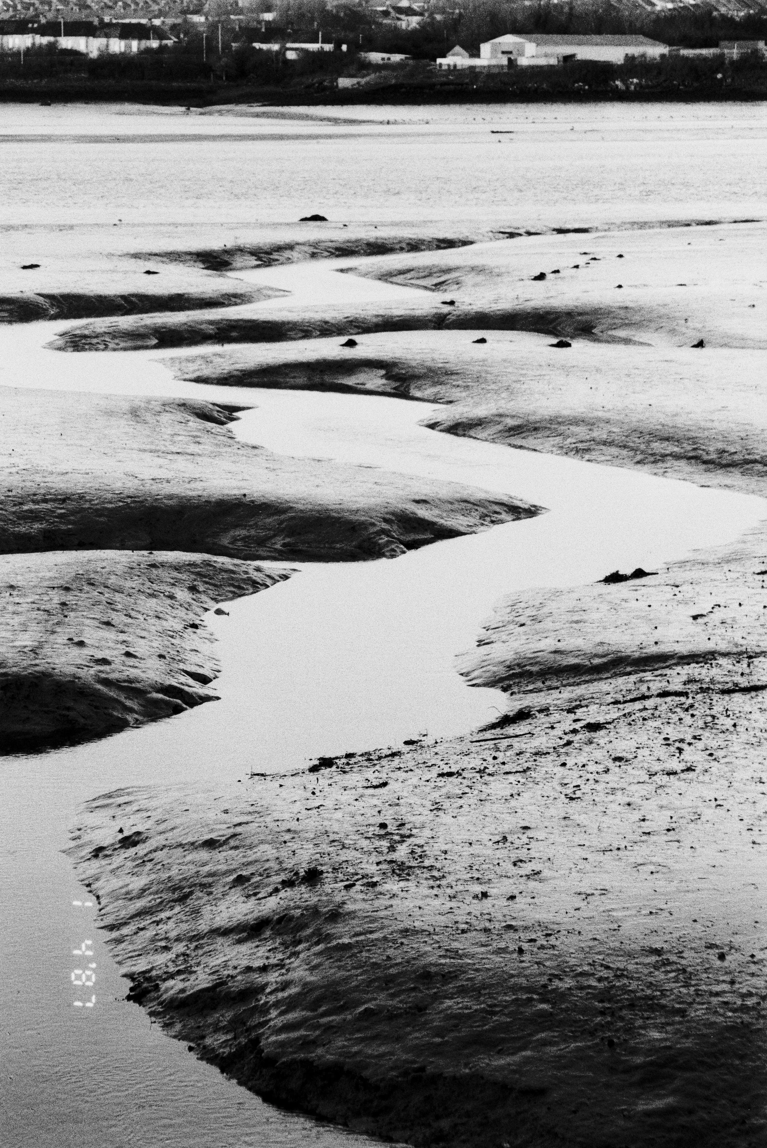 Kentmere 100 121125 flashed (10) Pentax Zoom 105 R.jpg