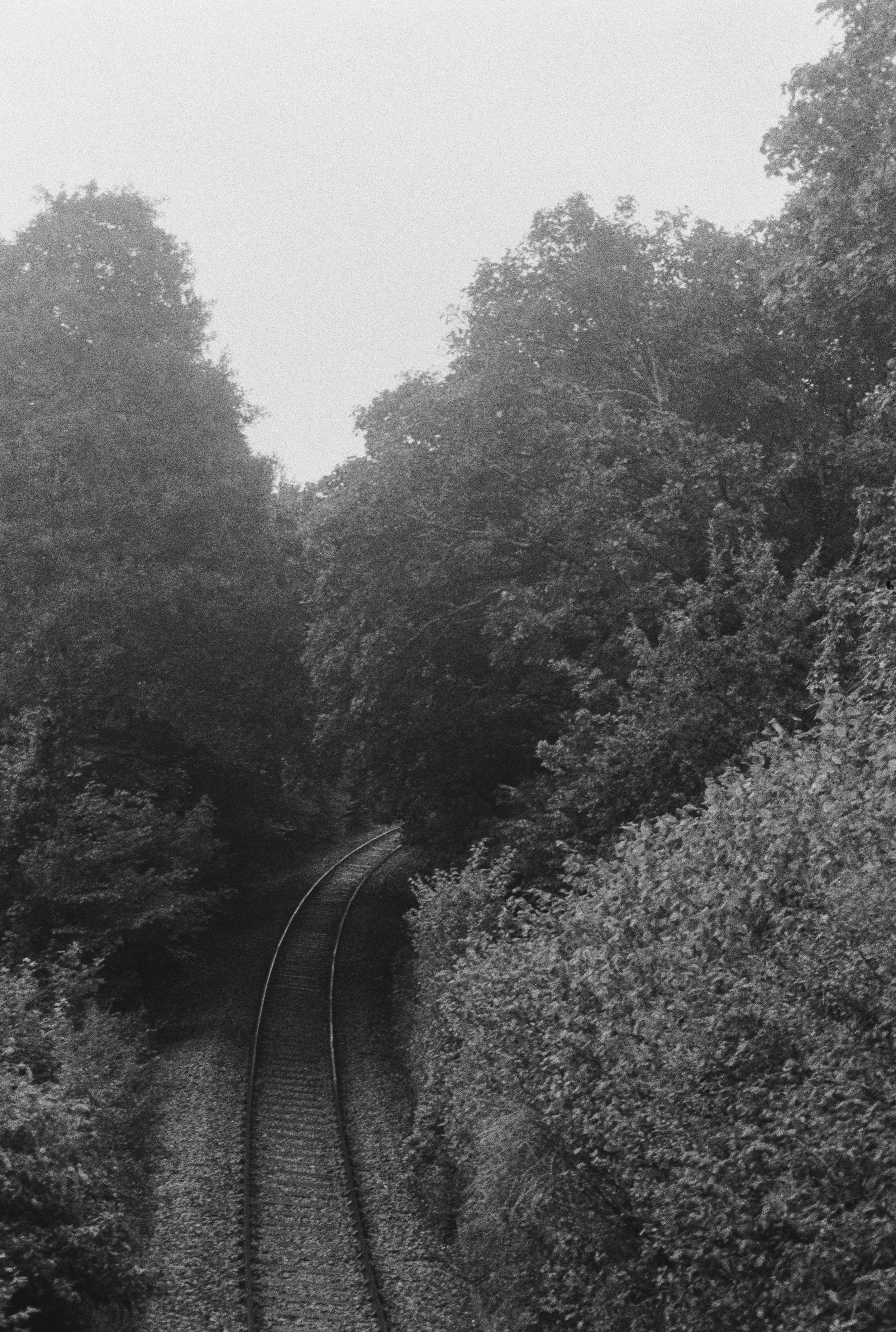 K400A 020925 (3) Pentax Zoom-70.jpg