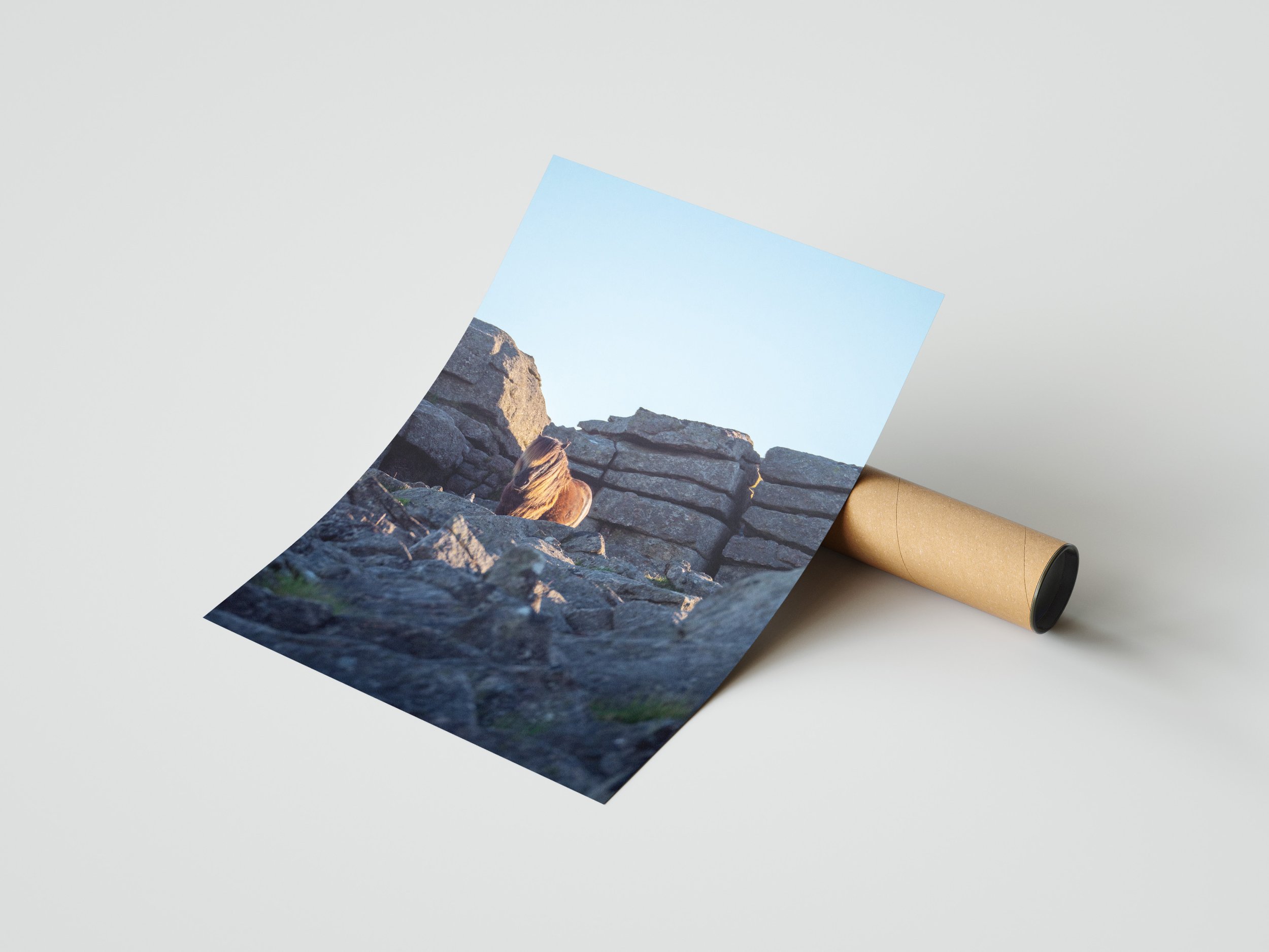 Free_Poster_Mockup_3.jpg
