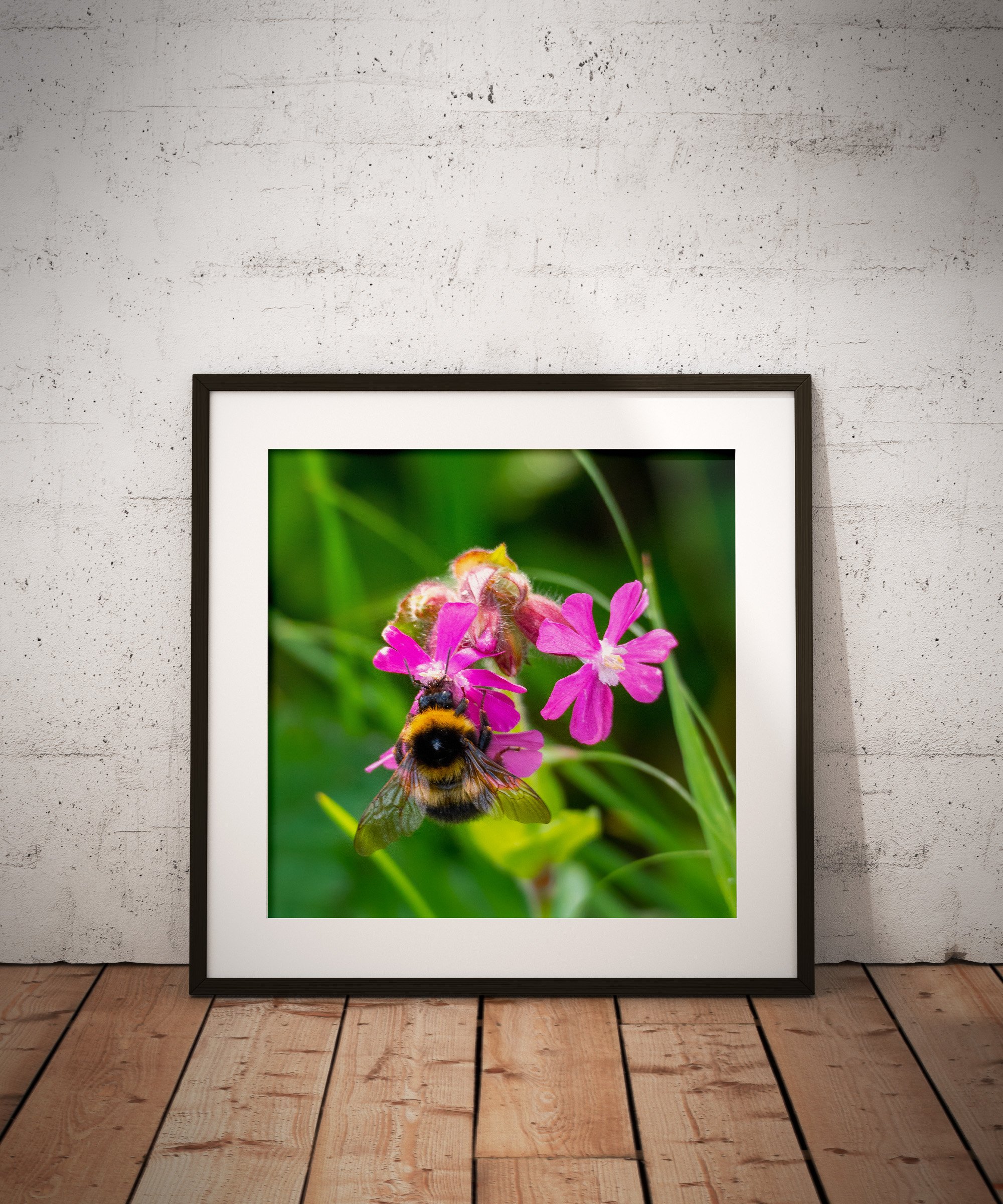 Square_Poster_Frame_Mockup_1.jpg