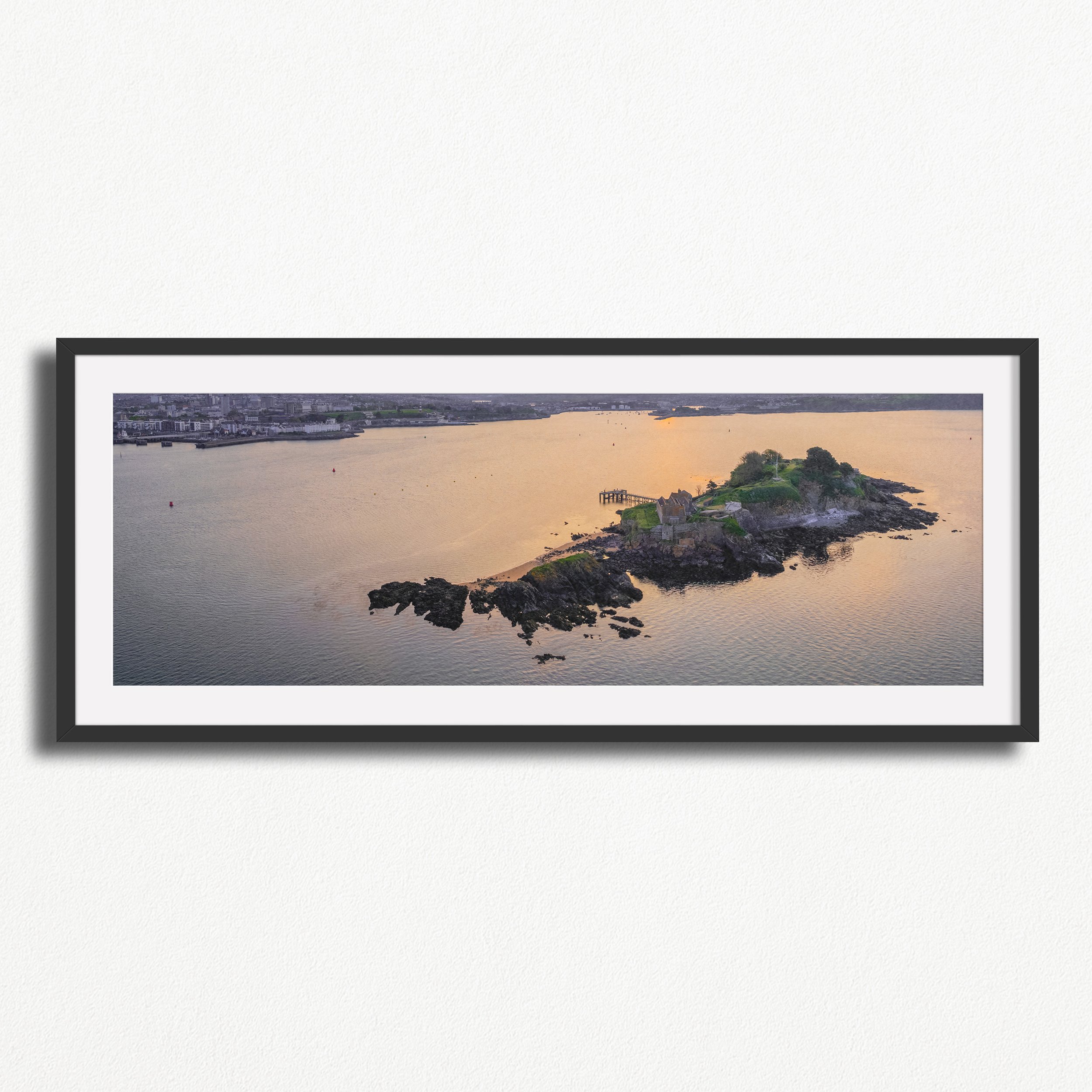 3x1 Frame Mock Up.jpg