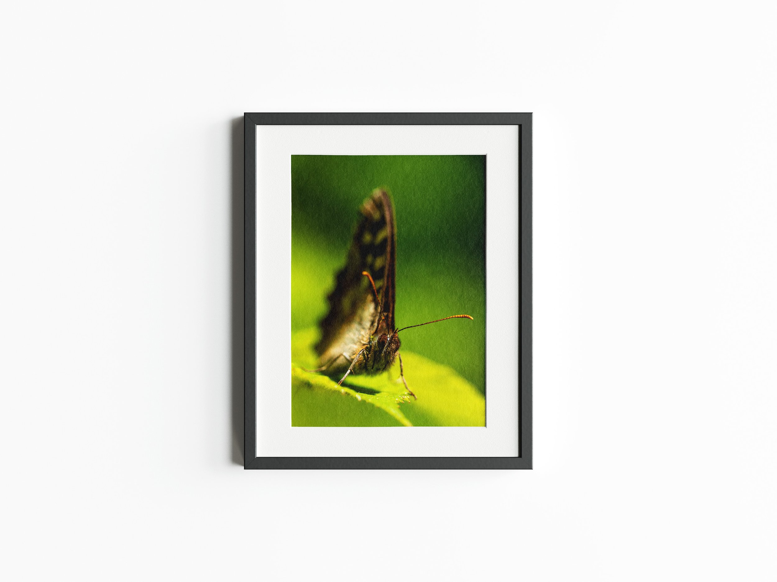 Poster_Mockup_1.jpg