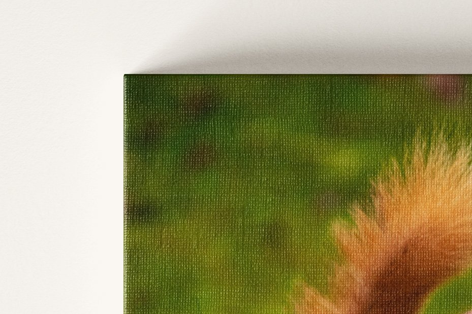Canvas General (2).jpg