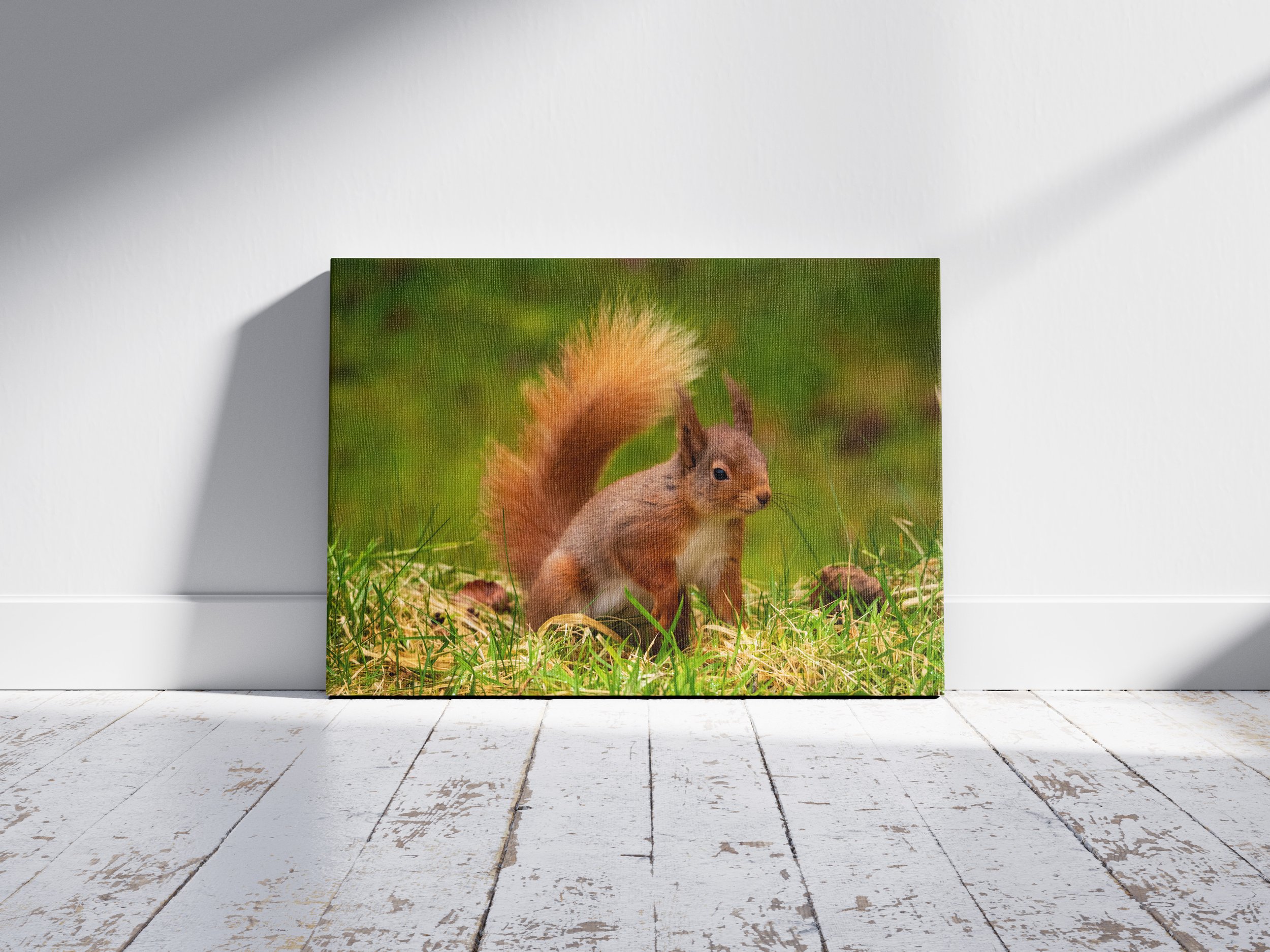 3x2H Canvas Mock Up 1.jpg
