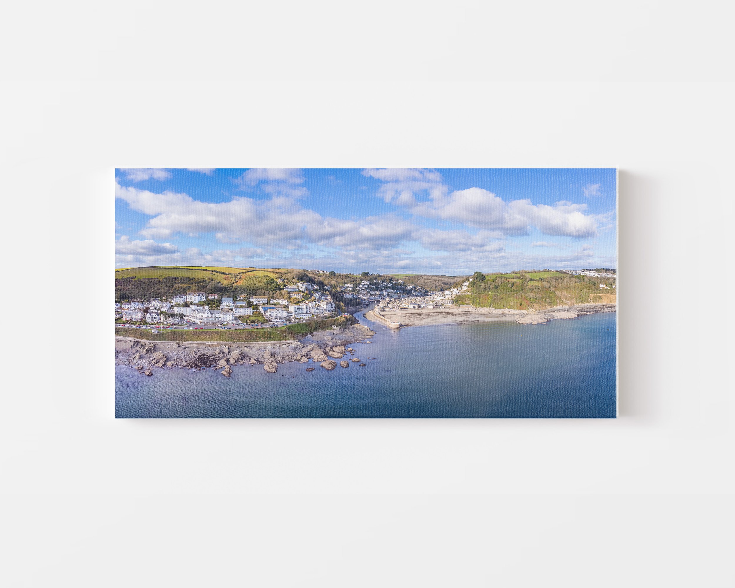 2x1 Canvas Mock Up V2.0.jpg