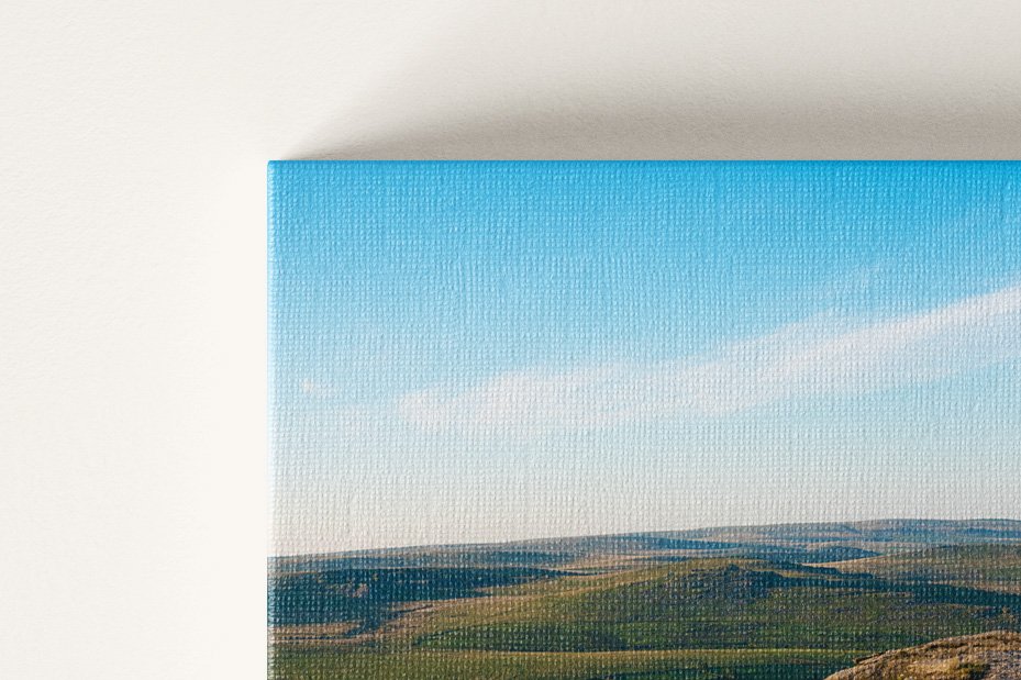 Canvas General (2).jpg