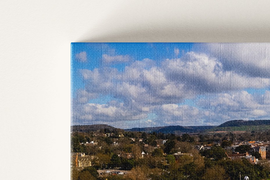 Canvas General (2).jpg