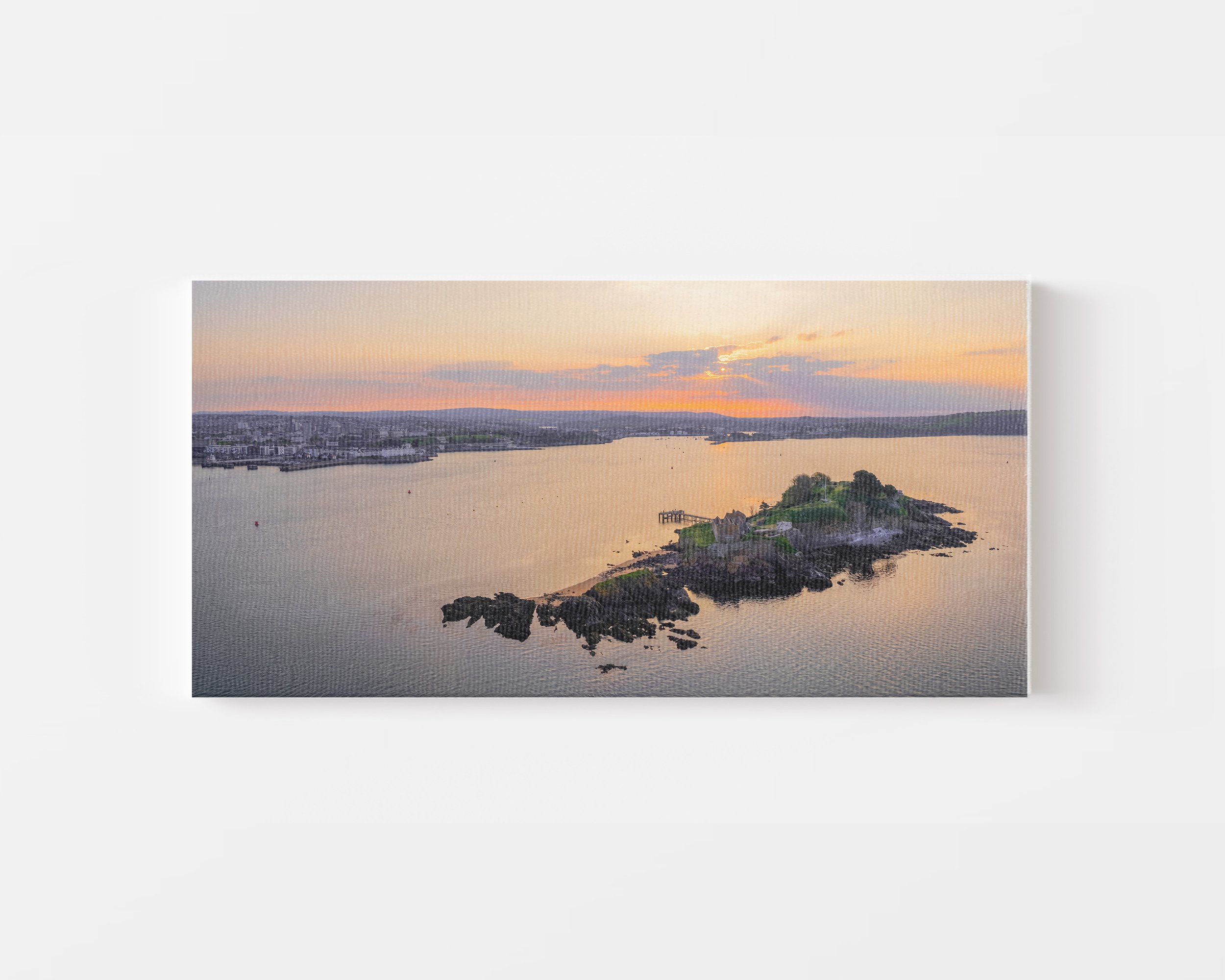 2x1 Canvas Mock Up V2.0.jpg