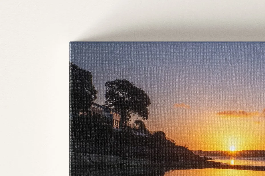 Canvas General (2).jpg